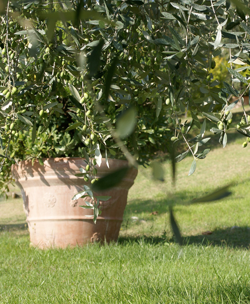 corviscom Motivkarte Terracotta
