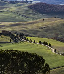 corviscom Motivkarte Colline Toscane