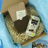 corviscom Geschenkset „Handyschmeichler" Filzmaxx Etui