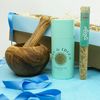 corviscom Geschenkset Sal Deluxe